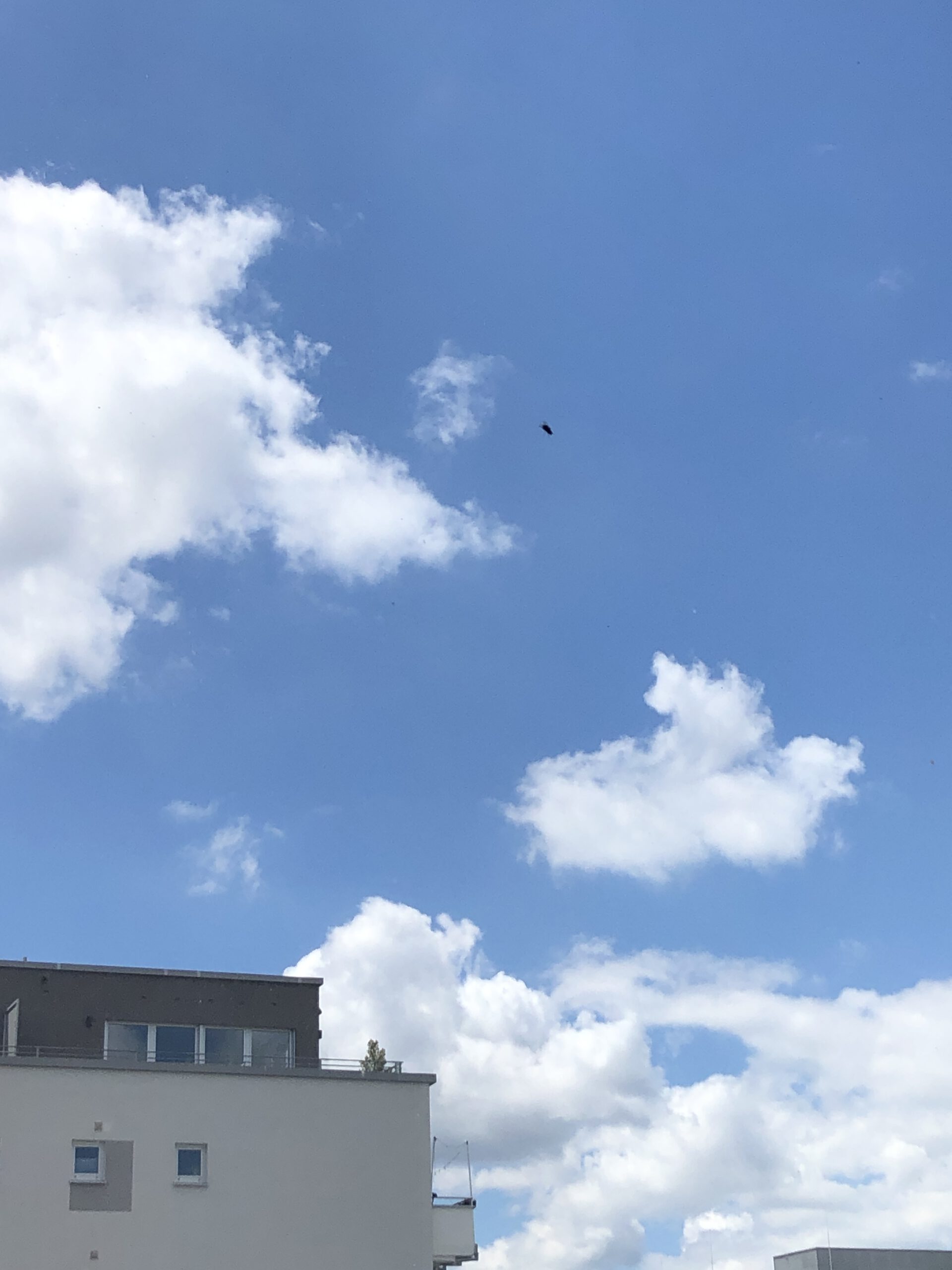 Blick aus meinem Küchenfenster auf strahlend blauen Himmel mit weissen Wolkenflocken